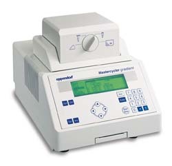 Εικόνα 15: Θερµικός κυκλοποιητής (PCR thermal cycler). Εικόνα 16: Αναπαράσταση της αλυσιδωτής αντίδρασης της πολυµεράσης (PCR). (http://www.eppendorf.com/script/binres.php?rid=8171, http://www.flmnh.