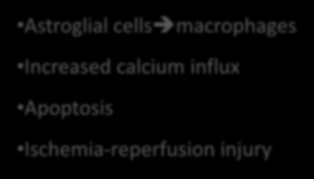 Θεραπευτική υποθερμία, μηχανισμός δράσης Astroglial cells macrophages Increased calcium