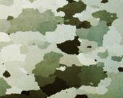 ηεξεά Καηεγνξίεο ηεξεώλ Πνιπθξπζηαιιηθά Πνιιέο