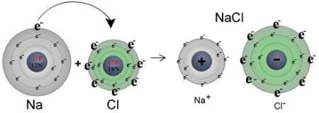 Iónová väzba vzniká medzi atómami, ktorých rozdiel elektronegativít je viac ako 1,7 ( X > 1,7) väzbový elektrónový pár patrí atómu s väčšou elektronegativitou vznikajú ióny z