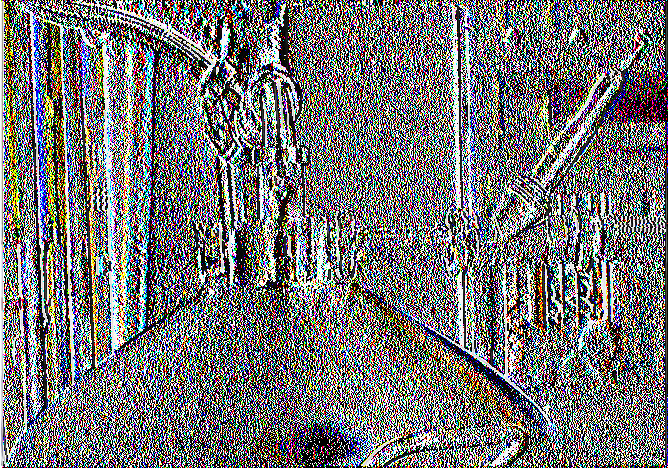 Εικόνα 48 Οι δύο αντλίες βρίσκονται μέσα στον διαχωριστήρα στην κορυφή του μπολ. Το τμήμα εισόδων-εξόδων κρατιέται από το κάλυμμα πλαισίου (εικόνα 49) από ένα παξιμάδι στο τέρμα της σωλήνας εισόδου.
