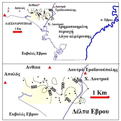 Η κοίτη του Έβρου και μέχρι το ύψος των Κήπων συχνά καταλαμβάνεται από αλμυρά νερά ως συνέπεια της δράσης της παλίρροιας.