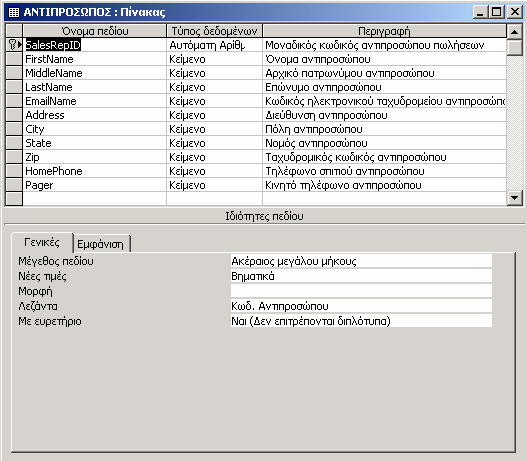Ο πίνακας ΑΝΤΙΠΡΟΣΩΠΟΣ δεν παρουσιάζει καμία ιδιαιτερότητα στην