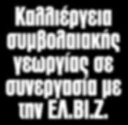 Τριτικάλε HYTPRIME Το κορυφαίο υβρίδιο Τριτικάλε της αγοράς με υψηλό παραγωγικό δυναμικό. Κατάλληλο για ενσίρωση λόγω υψηλής απόδοσης σε φυτική μάζα.