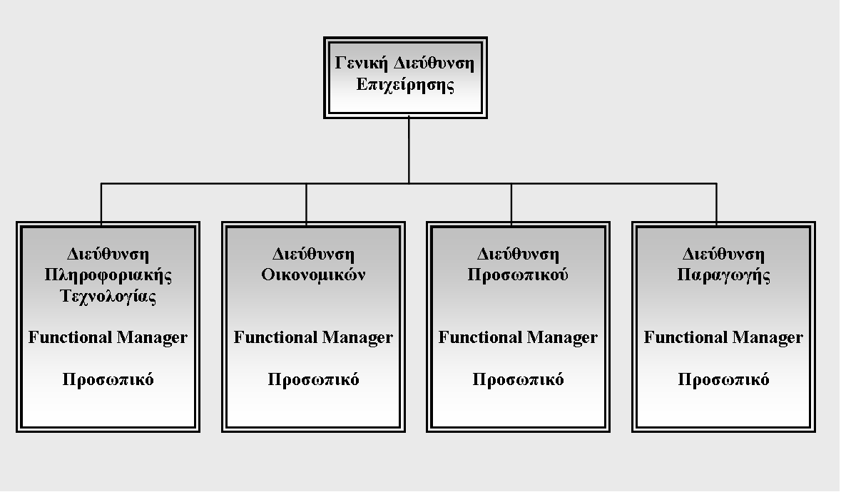 32 Λογιστικά Πληροφοριακά Συστήματα κητικού στελέχους, που είναι Υπεύθυνος ή Διαχειριστής ή Διευθυντής ενός Έργου (Project Manager) είναι διαφορετικές. 1.4.