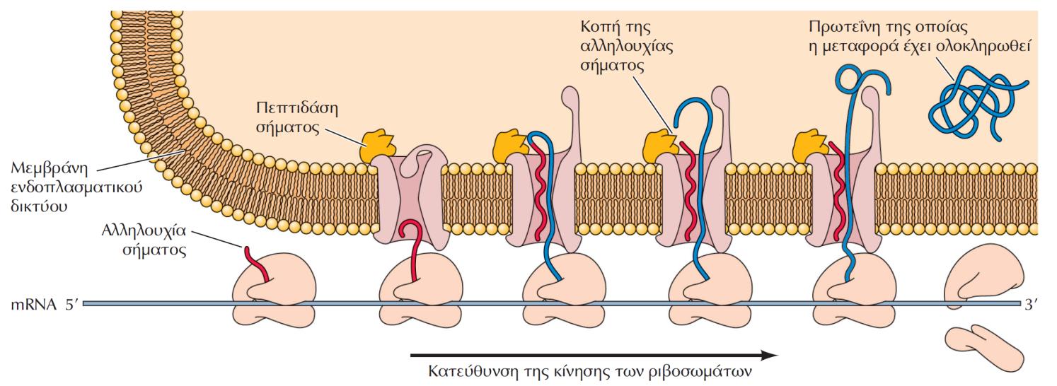 Μετα-μεταγραφικές τροποποιήσεις 1.