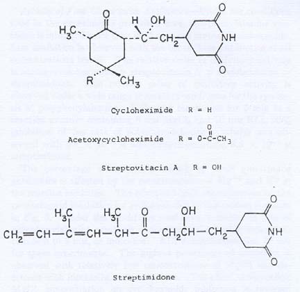 Εισαγωγή Εικόνα 17. Χημική δομή των γλουταριμιδικών αντιβιοτικών. Ένα εξ αυτών είναι και το κυκλοεξιμίδιο το οποίο στη θέση της πλευρικής ομάδας R περιέχει ένα άτομο υδρογόνου (Η).