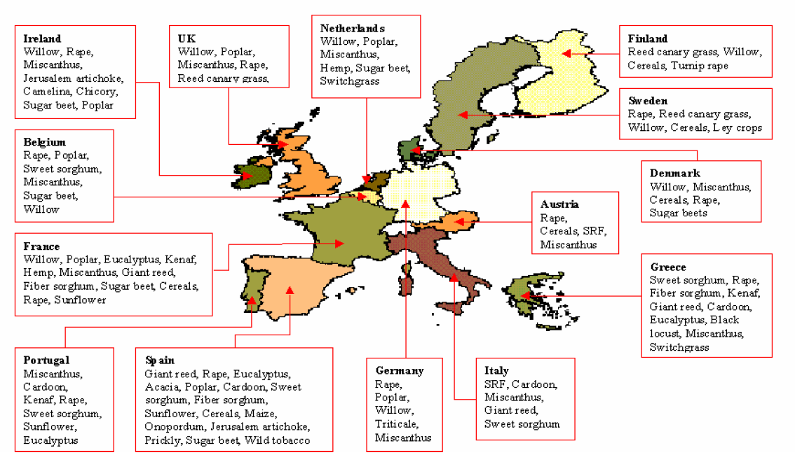 Εικόνα 1: Διασπορά ενεργειακών καλλιεργειών στην Ευρώπη (Χρήστου 2006) Στην Ευρώπη καλλιεργούνται, με σκοπό την εκμετάλλευσή τους από τον βιομηχανία βιοκαυσίμων, ποικιλία ενεργειακών φυτών όπως η