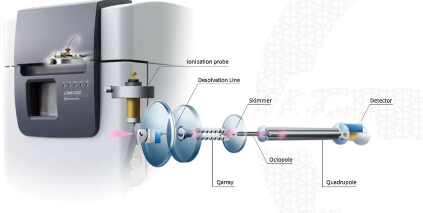 5.1.1 Περιγραφή οργάνου LCMS-2020 Πρόκειται για ένα φασματόμετρο μάζας με τετραπολικό αναλυτή μάζας. (37) Επιτυγχάνει μεγάλη ταχύτητα σάρωσης και αλλαγής πολικότητας, σε συνδυασμό με υψηλή ευαισθησία.