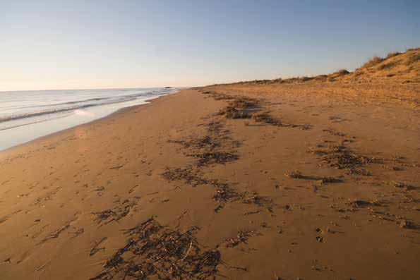Οδηγίες για τη συστηματική παρακολούθηση των θαλάσσιων απορριμμάτων στις παραλίες Πώς επιλέγουμε την παραλία; Κατά προτίμηση η παραλία πρέπει να είναι αμμώδης ή να έχει βότσαλα, να είναι εκτεθιμένη