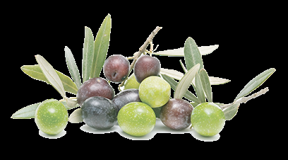 Το Μ Olive Oil BY MOBIAK Με έδρα την Κρήτη, ειδικευόμαστε στη προώθηση υψηλής ποιότητας προϊόντων ελαιολάδου.