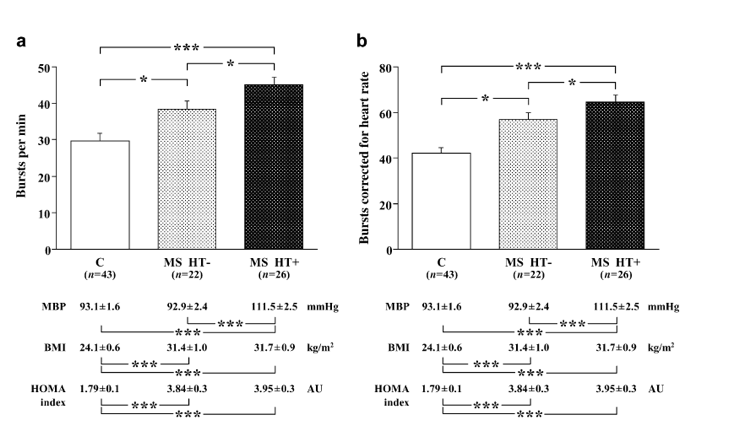 MS and MSNA in hypertension Grassi