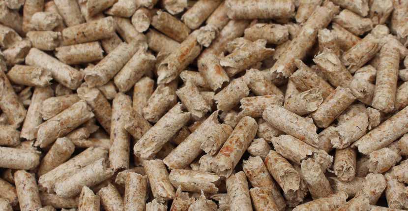 Pellet Cazane și arzătoare cu funcţionare pe pellet PELLET DIN LEMN PLC PLS COMBISTAR PELLTECH Pelletul este un combustibil 100% natural, fabricat din resturi de lemn.