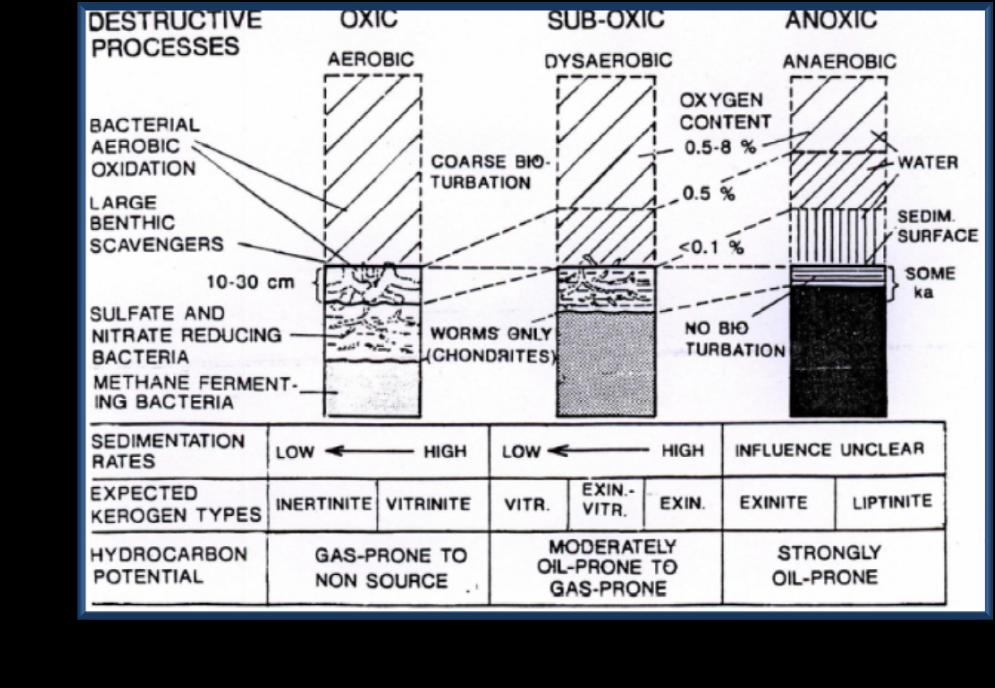 Εικόνα 9 : Οι κύριοι τύποι κηρογόνου και οι δυνατότητες γένεσης υδρογονανθράκων των υδρόβιων πετρελαϊκών πηγών πετρωμάτων και ρυθμός ιζηματογένεσης.(demaison & Moire 1980; Brooks et al.