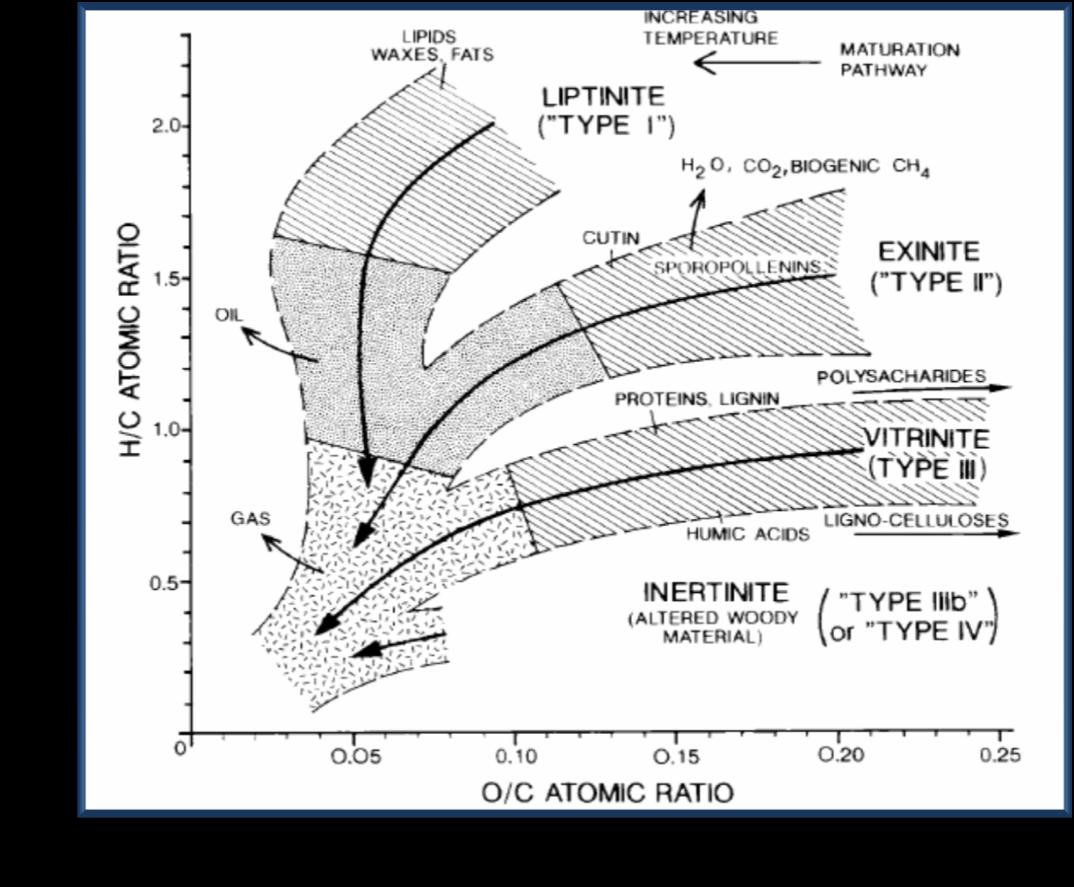 Τύπος 3 (βιτρινιτικός τύπος) Δημιουργείται από ξυλώδη υλικά ανώτερων φυτών. Εμφανίζουν χαμηλή αναλογία H/C<1 και μία αρχικά υψηλή αναλογία 0.03<O/C<0.3. Αυτός ο τύπος είναι το κύριο συνθετικό για τα περισσότερα είδη κάρβουνου.