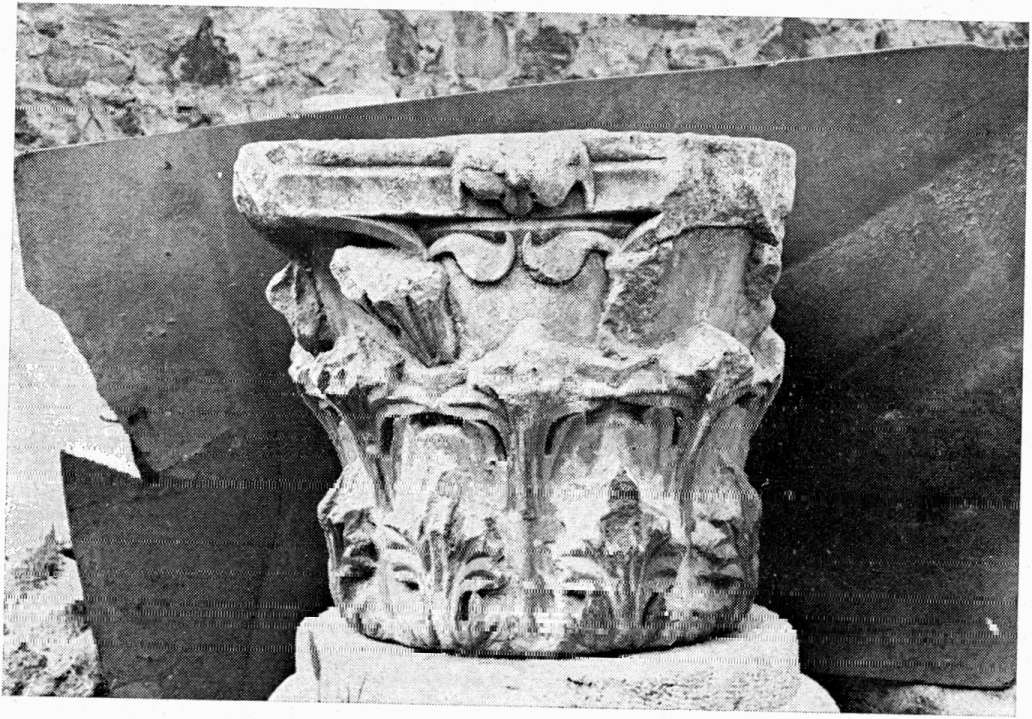 Πίν. 1 α. Κορινθιακό κιονόκρανο ΑΓ 2 (άρ. κατ.