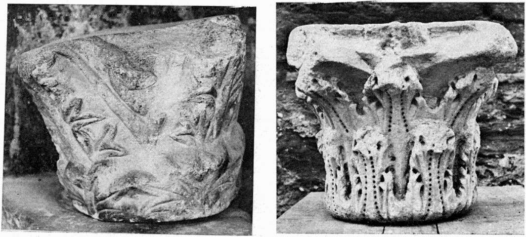 Πίν. 8 a. Κορινθιακό κιονόκρανο ΑΓ 48 (άρ. κατ. 17) β. Κορινθιακό κιονόκρανο ΑΓ 1 (άρ. κατ. 19) γ.