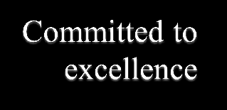 Committed and recognized for excellence companies (2006-2009)