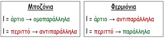 Φερμιόνια, Μποζόνια 8 Η κυµατοσυνάρτηση του σπιν δύο ταυτόσηµων σωµατίων Ψ β = Ψ β (σπιν)(1,2) Αν σπιν οµοπαράλληλα Ψ β(σπιν) (1,2) = Ψ