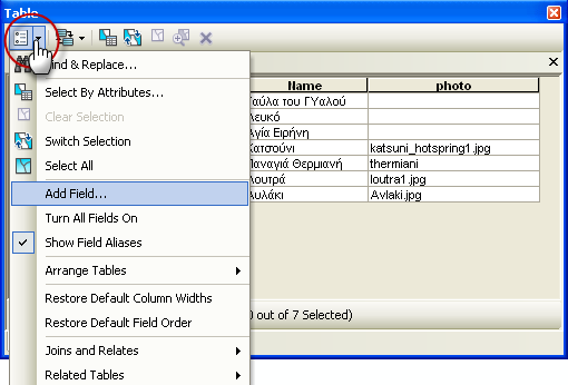 4.3.9.2 Τροποποίηση πίνακα Σε έναν πίνακα έχετε τη δυνατότητα να προσθέτετε ή να διαγράφετε κάποιο πεδίο, είτε μέσα από το ArcCatalog είτε μέσα από το ArcMap.