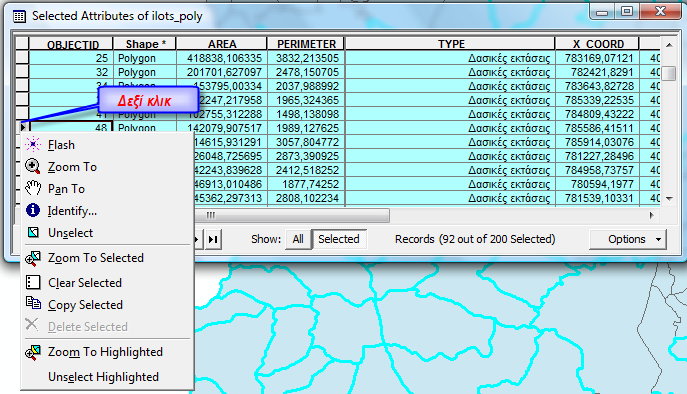 Στο κάτω μέρος του πίνακα που εμφανίζεται μπορείτε να παρατηρήσετε ότι έχουν επιλεγεί 92 από τα 200 πολύγωνα χρήσης γης της Νισύρου.