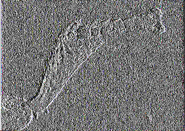 Εικόνα 17. Σωμάτια σκόνης γης διατόμων επί ποδός του εντόμου Τ. οοη/μίοη (Ηλεκτρονικό Μικροσκόπιο Σαρώσεως). 3.