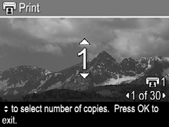 Κεφάλαιο 6 Επιλογή µεµονωµένων φωτογραφιών για εκτύπωση 1. Ενεργοποιήστε τη φωτογραφική µηχανή και πατήστε. 2. Χρησιµοποιήστε τα για να τονίσετε το Print (Εκτύπωση). 3.