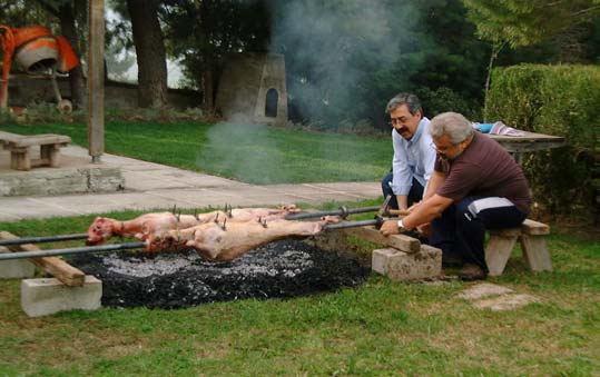 Τα αρνιά