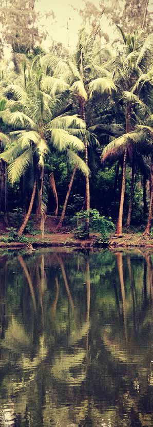 GENERATIONS OF EXPLORERS Into the most remote locations on Earth Lure of the Lost City By Douglas Preston Photographs by Karan Varsani El Dorado. Atlantis. The Lost City of Z.