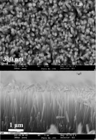 و 2 فصلنامه علمي پژوهشي فرآيندهاي نوين در مهندسي مواد / سال هفتم/ شماره سوم پاي يز / 1392 110 شكل (3): تصاوير SEM پوشش تهيه شده الف) تصوير از بالا و ب) تصوير مقطع عرضي.