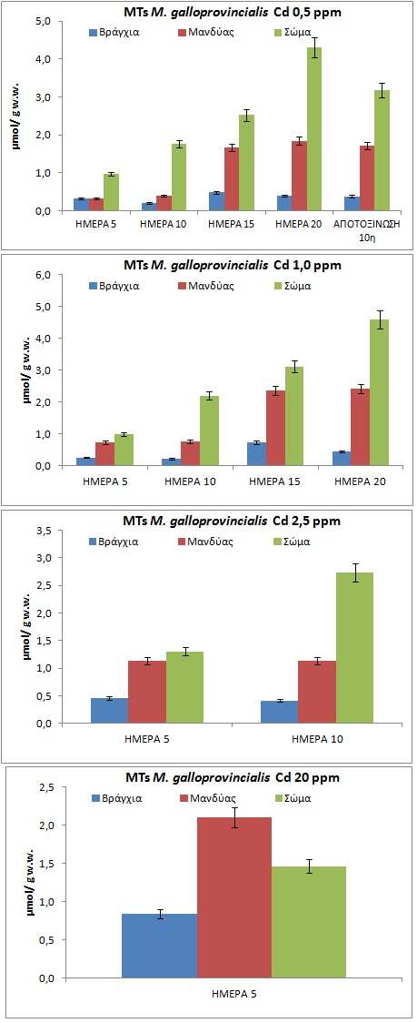 Πίνακας 52: Αύξηση των επιπέδων των μεταλοθειονινών (C DayX /C Day0 ) σε σχέση με τον πληθυσμό αναφοράς 0,50 ppm 1,0 ppm 2,5 ppm 20 ppm day 5 day 20 day 5 day 20 day 5 day 20 day 5 day 20 βράγχια 6,8