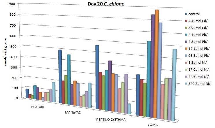 Σχήμα 175: Συγκριτική απεικόνιση βιοσυσσώρευσης των τριών μετάλλων σε C. chione την ημέρα 20