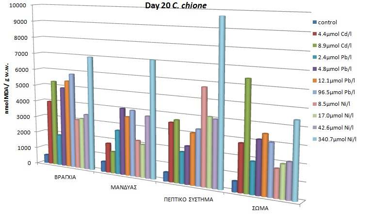 7.2.3 Λιπιδική υπεροξείδωση Σε κάθε ιστό των οργανισμών, τα επίπεδα μηλονικής διαλδεΰδης γενικά, δεν ήταν πολύ διαφορετικά ανάμεσα στα τρία μέταλλα.