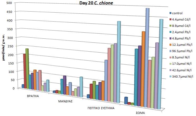 7.2.6 Καταλάση Στα βράγχια των οργανισμών, υψηλότερες τιμές ενζύμου προσδιορίστηκαν σε εκείνους που εκτέθηκαν σε κάδμιο, στο μανδύα σε εκείνους που εκτέθηκαν σε μόλυβδο, στο πεπτικό σύστημα σε