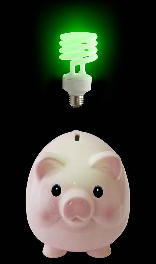 Ενεργειακά αποδοτικές ηλεκτρικές συσκευές Παράδειγμα Σύγκριση λαμπτήρα πυρακτώσεως με λαμπτήρα εξοικονόμησης λαμβάνοντας υπόψη το κόστος αγοράς και κατανάλωσης ηλεκτρισμού για 5 χρόνια.