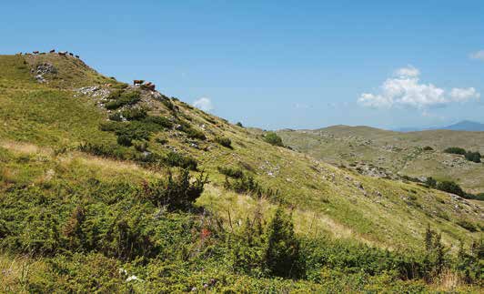 σε πολλές περιπτώσεις, εξαιρετικά αρνητικές, φθάνοντας στο τέλος του αιώνα στο αστρονομικό κόστος των 700 περίπου δισεκατομμυρίων ευρώ σύμφωνα με την Έκθεση της Τραπέζης της Ελλάδος (1).