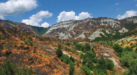 Γράμμος (φωτ. Κώστας Βιδάκης).