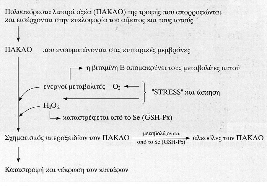 συσχετίζεται με την βλάβη των ιστών. Πράγματι, Lauzon et al.