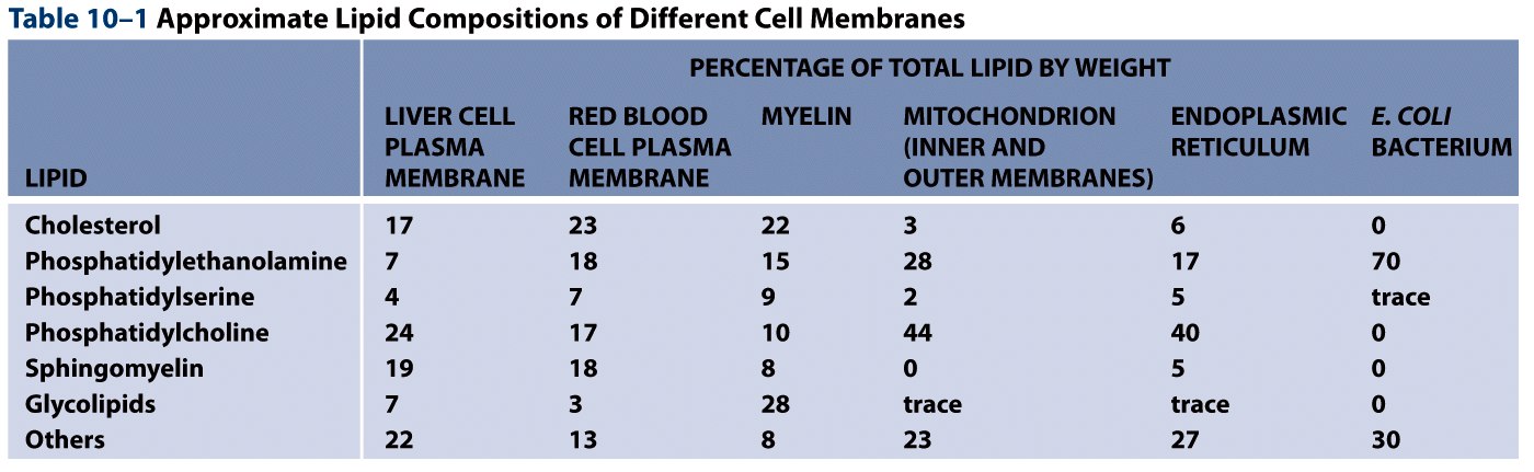 Table 10-1 Molecular Biology of the Cell (