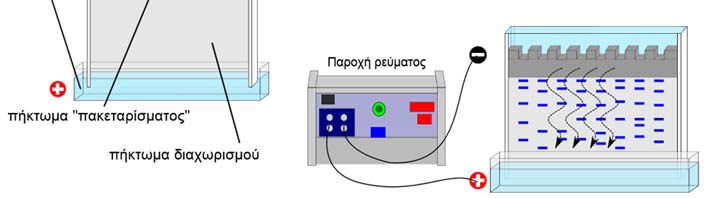 Η ηλεκτροφόρηση γίνεται είτε σε μικρά κυλινδρικά σωληνάκια (σε περιπτώσεις ισοηλεκτρικής εστίασης) είτε σε επίπεδη επιφάνεια.