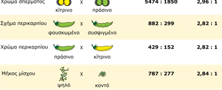 Ο Μέντελ δεν ήταν απλώς ένας μοναχός που περνούσε την ώρα του καλλιεργώντας τον κήπο του μοναστηριού.