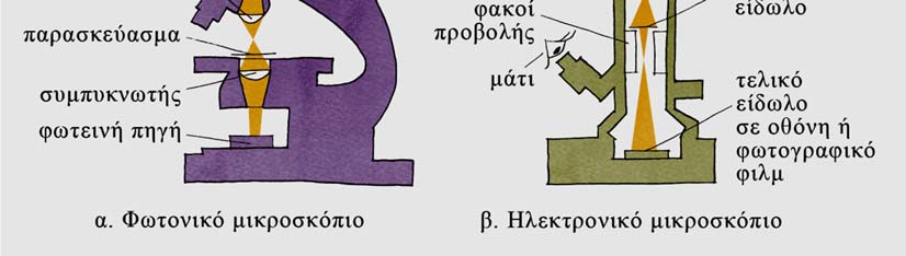(γυάλινοι) για να κατευθύνουν τη δέσμη των φωτονίων, ενώ στο ηλεκτρονιακό μικροσκόπιο χρησιμοποιείται ένα σύστημα ηλεκτρομαγνητικών φακών για να εστιάσει τη δέσμη των ηλεκτρονίων (Εικ. 1.3). Εικόνα 1.