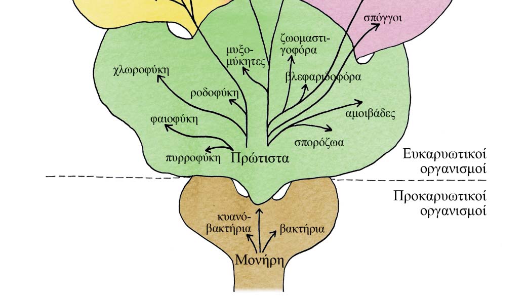 ανίκανα να αναπαραχθούν, τα οποία αποκτούν ιδιότητες ζωντανού συστήματος και μπορούν να πολλαπλασιαστούν μόνον εάν βρεθούν μέσα σε ζωντανά κύτταρα κατάλληλου ξενιστή.