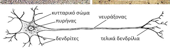 2.2.2β.