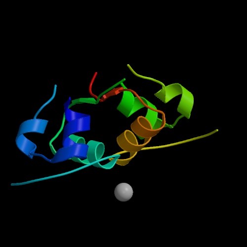 Η Συνέχεια του Κεντρικού Δόγµατος... (Σχεδόν) για όλες τις πρωτεΐνες: Sequence 3D-structure Function Determines.