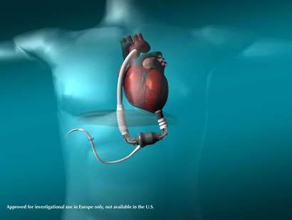 Πειραματική Βιοϊατρική Έρευνα - Καρδιολογία Α -
