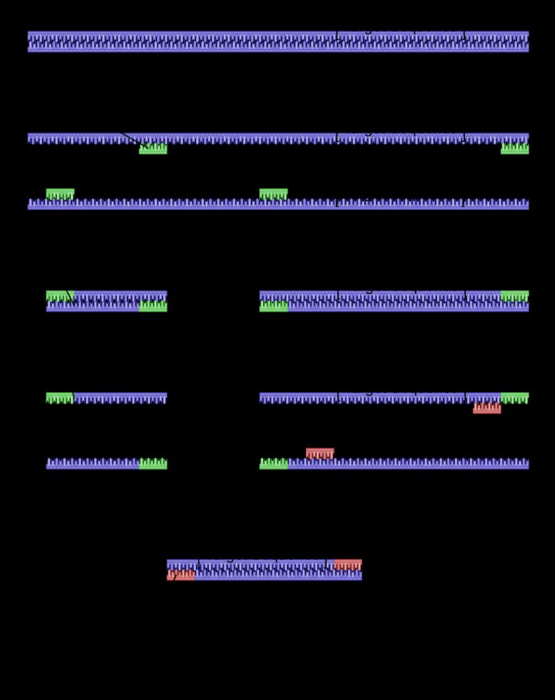 Nested PCR Μεγαλύτερη εξειδίκευση (αποφυγή παραπροϊόντων ).