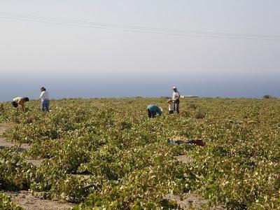 ΕΡΩΤΗΜΑΤΑ Τι είναι παραγωγή και ποια τα βασικά στοιχεία αυτής; Ποιο είναι το βασικό οικονομικό πρόβλημα; 5.2.