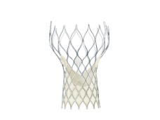 CE MARK APPROVED DEVICES Medtronic CoreValve Edwards SAPIEN XT Edwards SAPIEN 3 Sadra