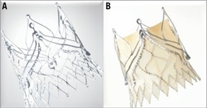 DEVICES PENDING CE MARK APPROVAL Edwards CENTERA Colibri Heart Valve